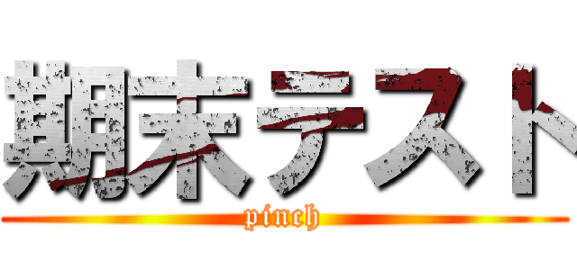 期末テスト (pinch)
