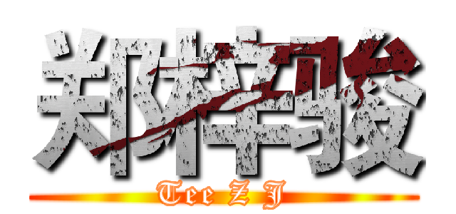 郑梓骏 (Tee Z J)