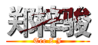 郑梓骏 (Tee Z J)