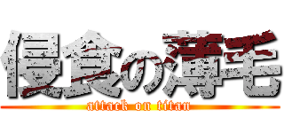侵食の薄毛 (attack on titan)
