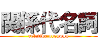 関係代名詞 (relative pronoun)