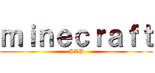 ｍｉｎｅｃｒａｆｔ (PVP)