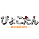 ぴょこたん (@519Naoto)