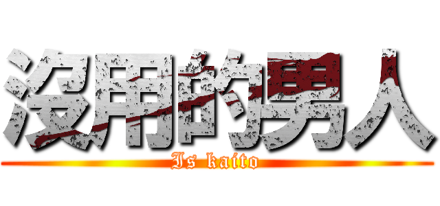 沒用的男人 (Is kaito)