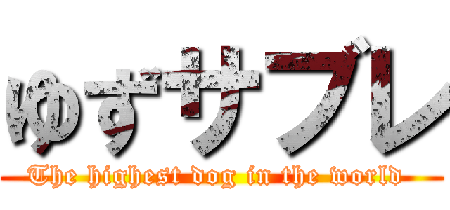 ゆずサブレ (The highest dog in the world )