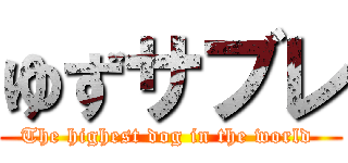 ゆずサブレ (The highest dog in the world )