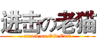 进击の老猫 (attack on Old Cat！)