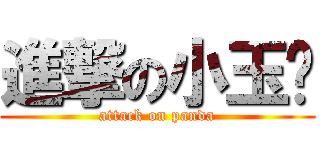 進撃の小玉酱 (attack on panda)