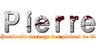 Ｐｉｅｒｒｅ (Le Patafouin sauvage des plaines de l'est)