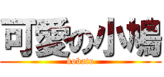 可愛の小鳩 (kobato)