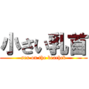 小さい乳首 (sex on the beachck)