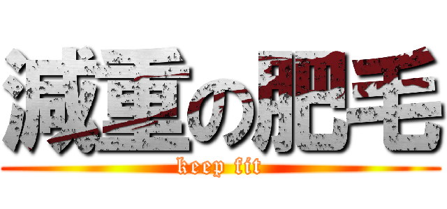 減重の肥毛 (keep fit)