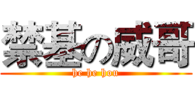 禁基の威哥 (he he hou)