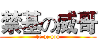 禁基の威哥 (he he hou)