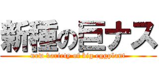 新種の巨ナス (new variety of big eggplant)