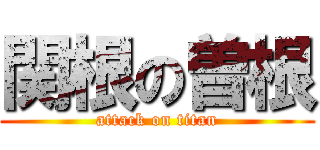 関根の曽根 (attack on titan)