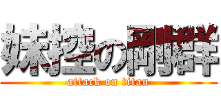 妹控の剛群 (attack on titan)