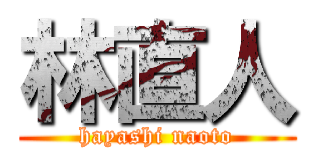 林直人 (hayashi naoto)