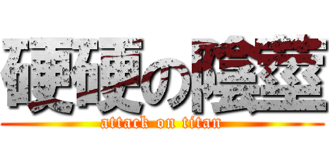 硬硬の陰莖 (attack on titan)