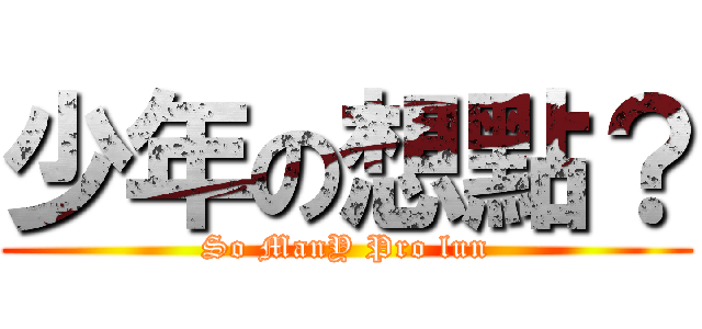 少年の想點？ (So ManY Pro lun)