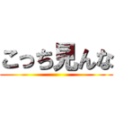 こっち見んな ( )