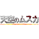 天空のムスカ (sky on musuka )