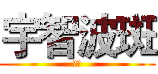 宇智波斑 (哈哈)