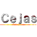 Ｃｅｊａｓ (A tu huea)
