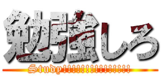 勉強しろ (Study!!!!!!!!!!!!!!!)