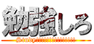 勉強しろ (Study!!!!!!!!!!!!!!!)