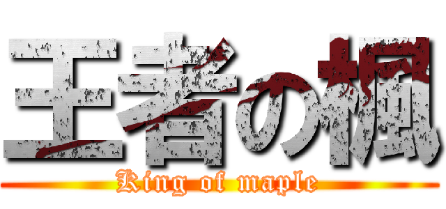 王者の楓 (King of maple)