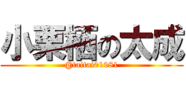 小栗栖の太成 (@taitai01081)