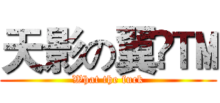 天影の翼™ (What the fuck)