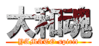 大和魂 (YAMATO spirit)