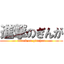 進撃のぎんが (attack on ginchan)