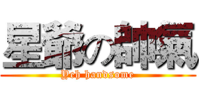星爺の帥氣 (Yeh handsome)