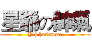 星爺の帥氣 (Yeh handsome)