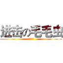 进击の毛毛虫 (老子是张折)