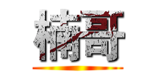 楠哥 ()