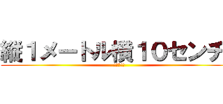 縦１メートル横１０センチ！ (あ、ずれた)