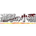 進撃の小涵 (FUCK !!!)