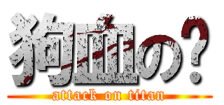 狗血の囧 (attack on titan)