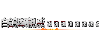 白鴿眼親戚ａａａａａａａａ (attack on aunite)