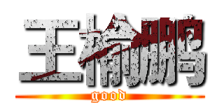 王榆鹏 (good)