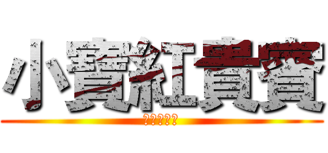 小寶紅貴賓 (歡迎訂閱我)