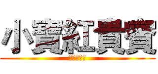 小寶紅貴賓 (歡迎訂閱我)