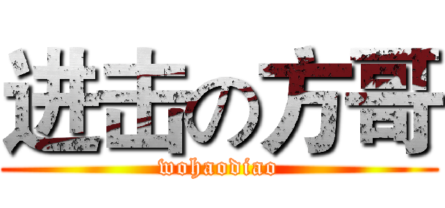 进击の方哥 (wohaodiao)