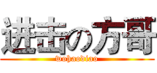 进击の方哥 (wohaodiao)