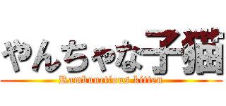 やんちゃな子猫 (Rambunctious kitten)