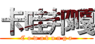 卡哇邦嘎 (C o w a b u n g a)